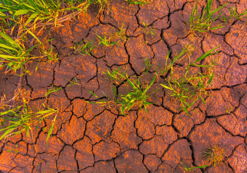 L'impatto dei diversi settori sui cambiamenti climatici