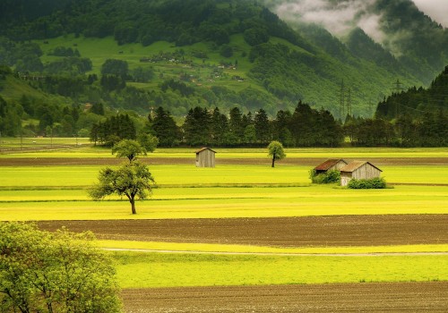 L'impatto dell'industrializzazione sull'ambiente